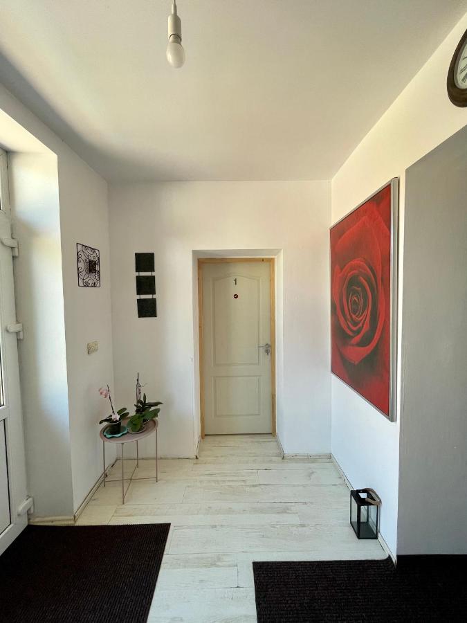 Casa Trandafirilor Otel Tulça Dış mekan fotoğraf